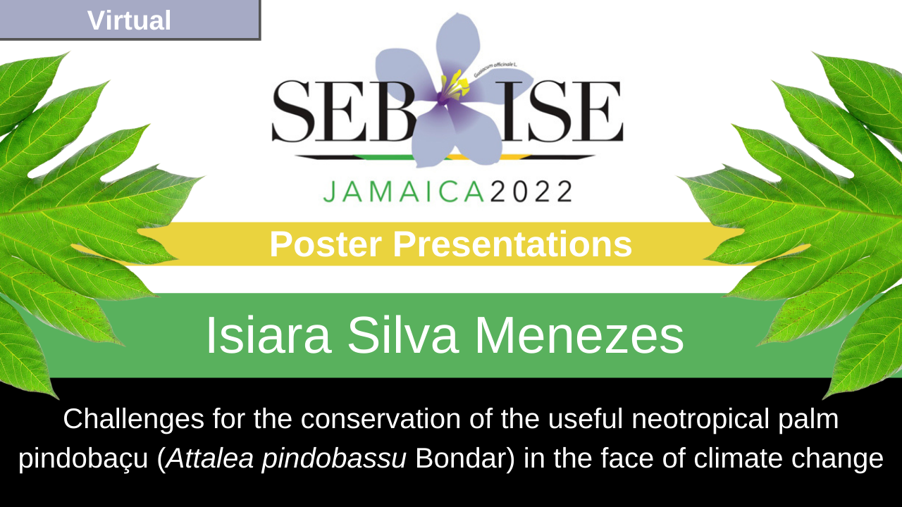 Poster Presentation Video: Isiara Silva Menezes