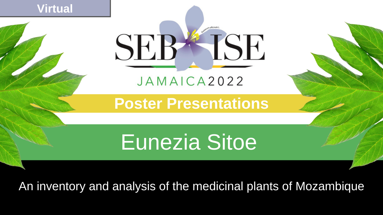 Poster Presentation Video: Eunezia Sitoe