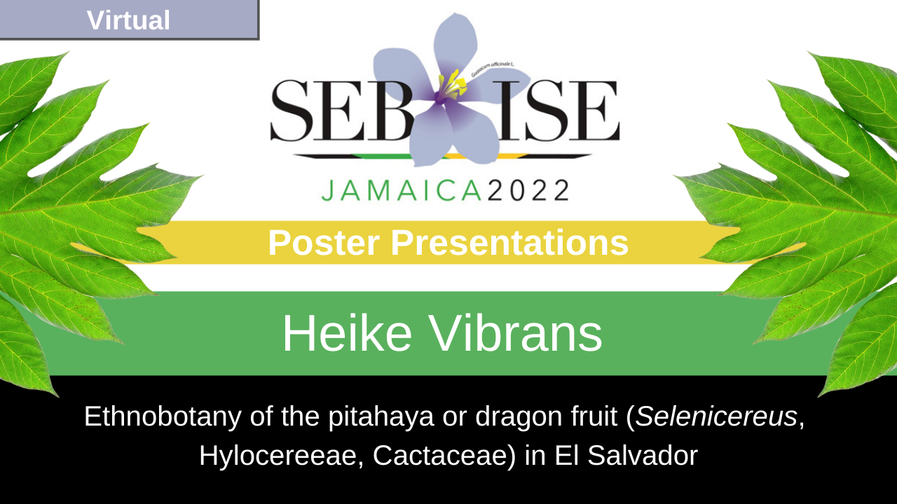 Poster Presentation Video: Heike Vibrans