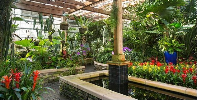 Atlanta Botanical Garden Visit